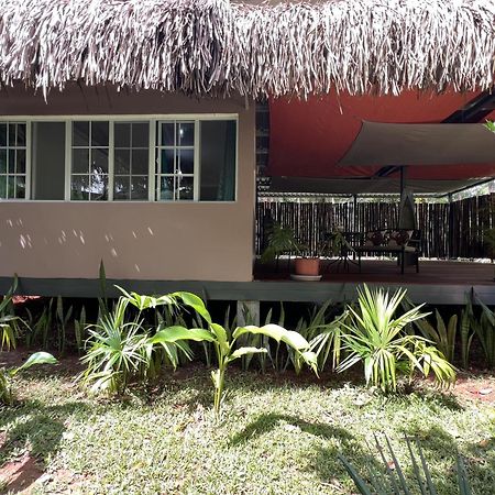 Monkey Lodge Panama Chilibre Luaran gambar