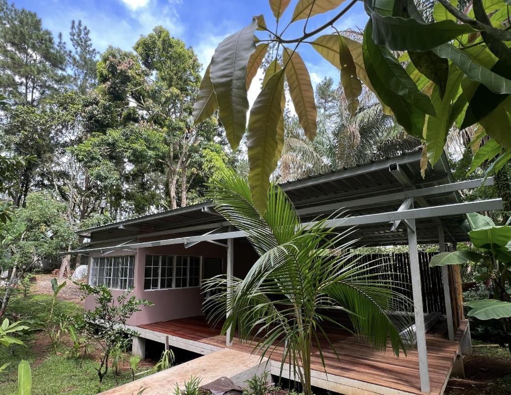 Monkey Lodge Panama Chilibre Luaran gambar