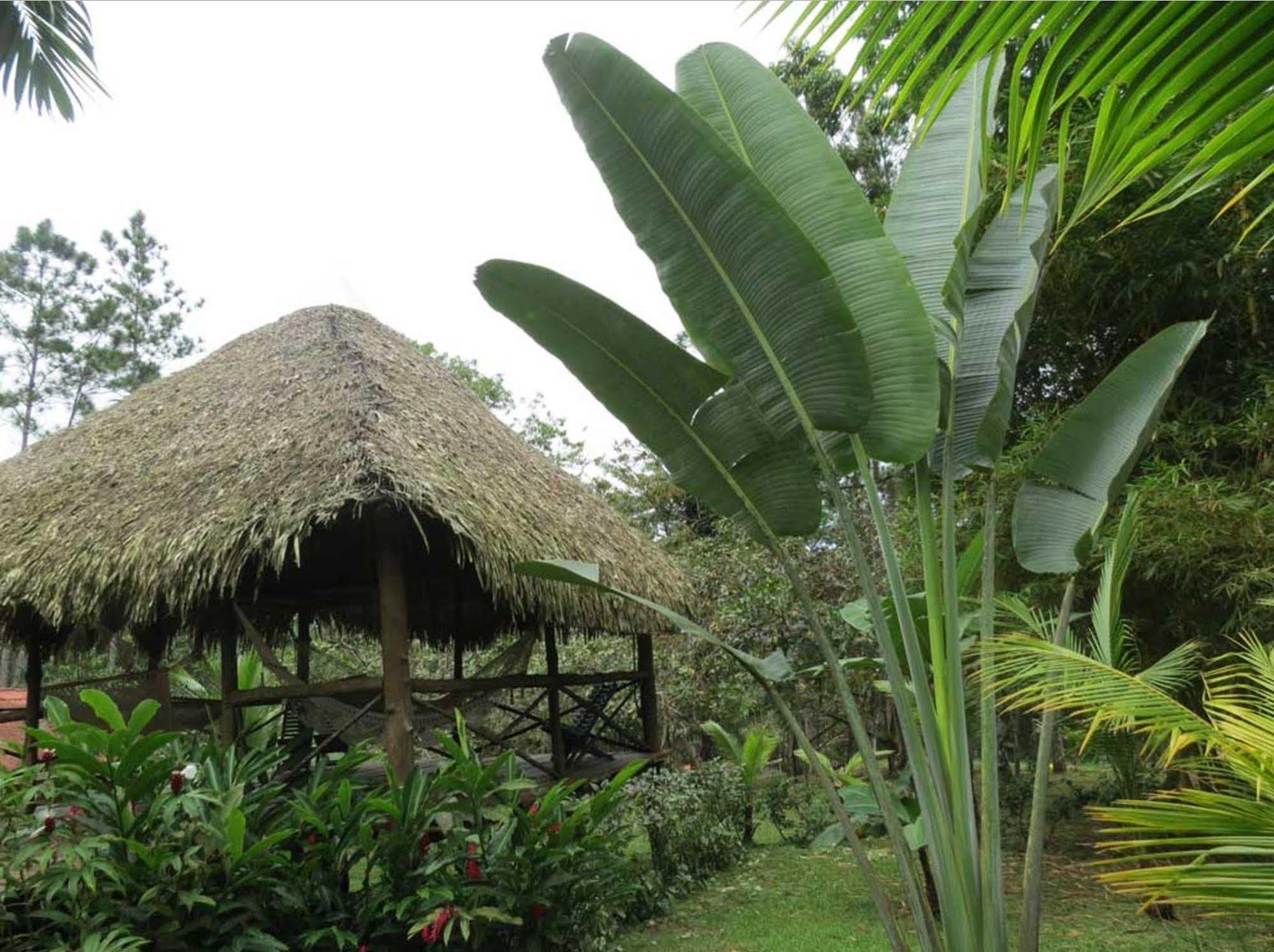Monkey Lodge Panama Chilibre Luaran gambar